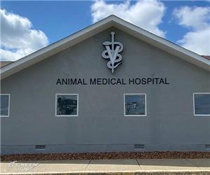 Animal Medical Hospital: Custom Internally Illuminated Channel Logo Wall ID Sign